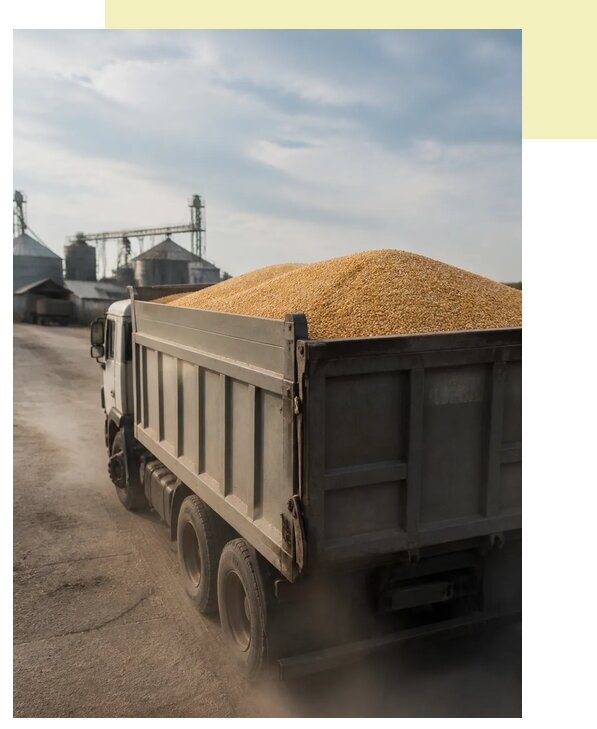 Перевозка сельхозпродукции навалом в Кореновск по цене от 3109 р. | Агросервис-Кнв